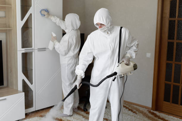 Mold Testing and Removal in Johnstonville, CA