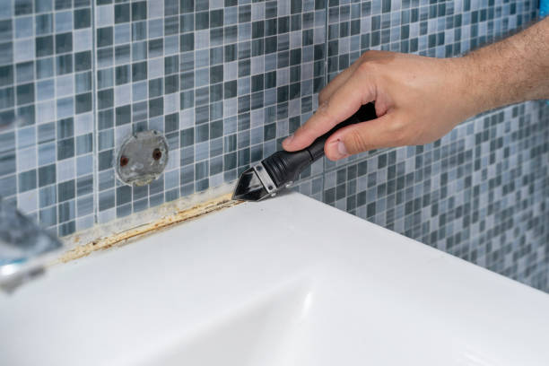 Best Local Mold Removal Service  in Johnstonville, CA